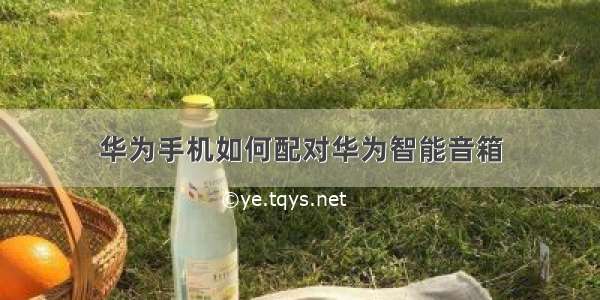 华为手机如何配对华为智能音箱