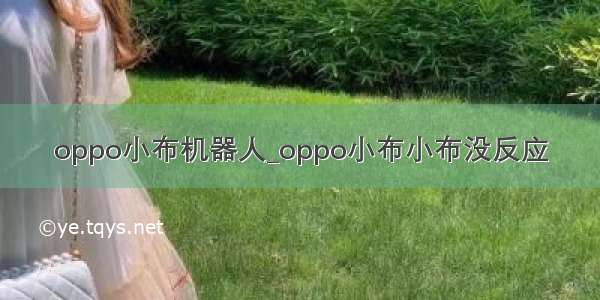 oppo小布机器人_oppo小布小布没反应