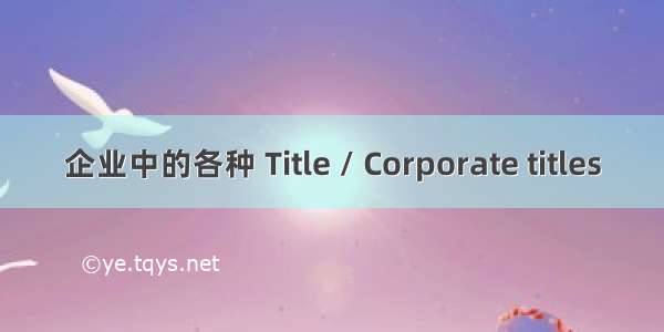 企业中的各种 Title / Corporate titles