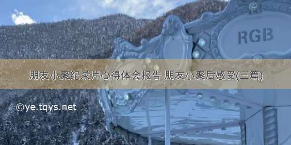 朋友小聚纪录片心得体会报告 朋友小聚后感受(三篇)