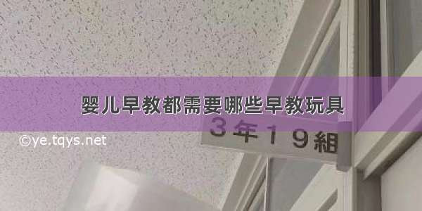 婴儿早教都需要哪些早教玩具