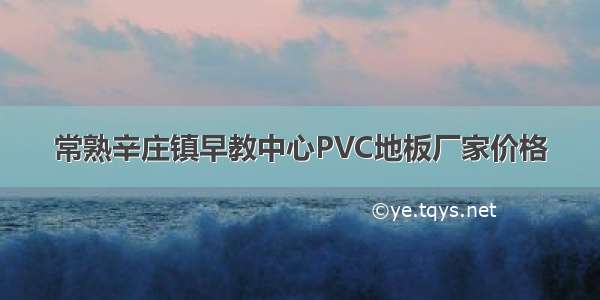 常熟辛庄镇早教中心PVC地板厂家价格