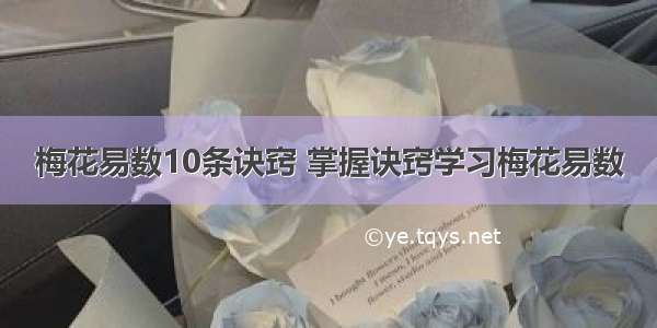 梅花易数10条诀窍 掌握诀窍学习梅花易数