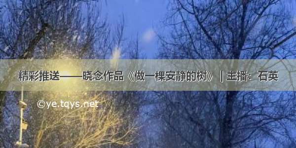 精彩推送——晓念作品《做一棵安静的树》 | 主播：石英