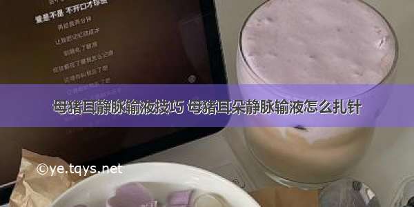 母猪耳静脉输液技巧 母猪耳朵静脉输液怎么扎针