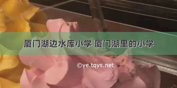 厦门湖边水库小学 厦门湖里的小学