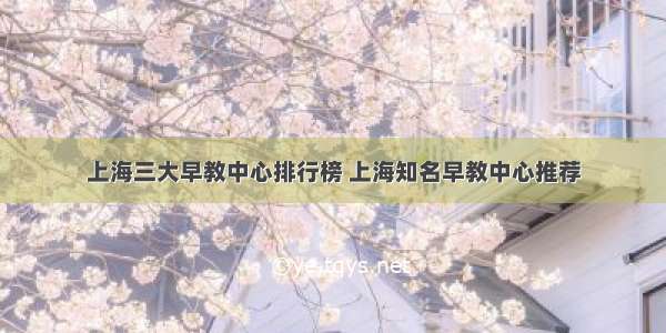 上海三大早教中心排行榜 上海知名早教中心推荐