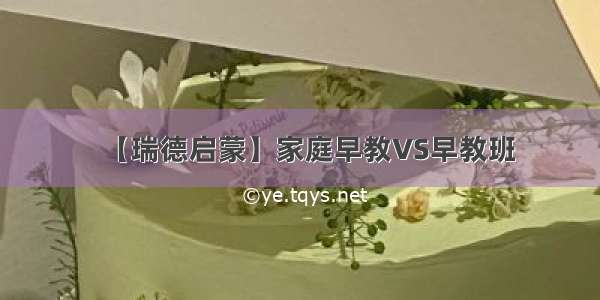 【瑞德启蒙】家庭早教VS早教班