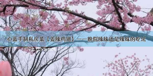 心蓝手制私房菜【姜辣鸡翅】——貌似辣妹还是辣妹的吃法