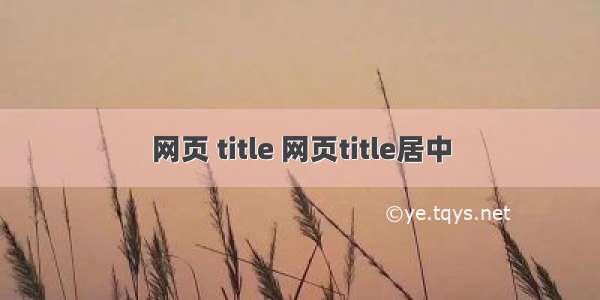 网页 title 网页title居中