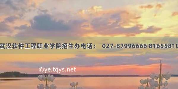 武汉软件工程职业学院招生办电话：  027-87996666 81655810