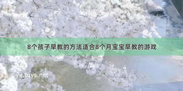 8个孩子早教的方法适合8个月宝宝早教的游戏