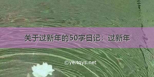 关于过新年的50字日记：过新年