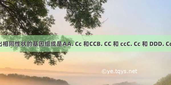 表现出相同性状的基因组成是AA. Cc 和CCB. CC 和 ccC. Cc 和 DDD. Cc 和 cc