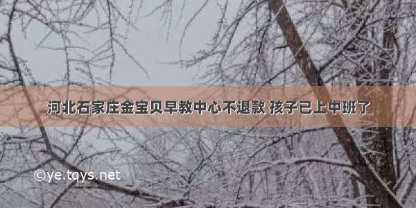 河北石家庄金宝贝早教中心不退款 孩子已上中班了