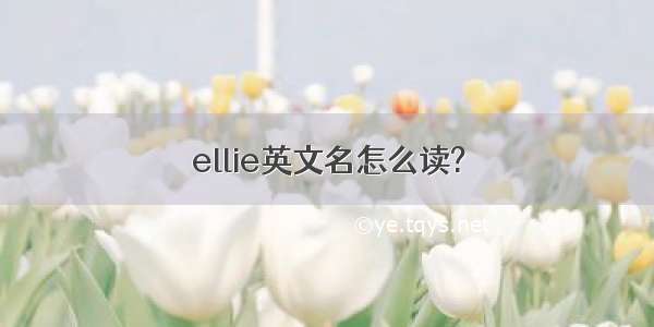 ellie英文名怎么读?