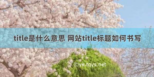 title是什么意思 网站title标题如何书写