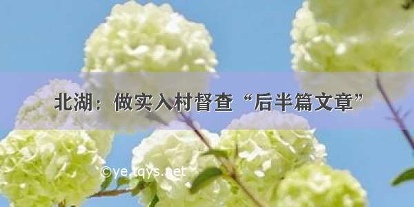 北湖：做实入村督查“后半篇文章”