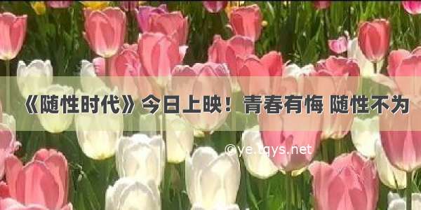 《随性时代》今日上映！青春有悔 随性不为