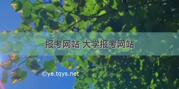 报考网站 大学报考网站