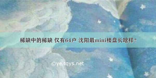 稀缺中的稀缺 仅有64户 沈阳最mini楼盘长啥样？