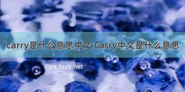 carry是什么意思中文 Carry中文是什么意思