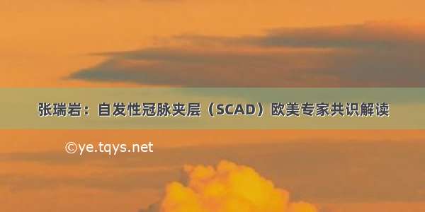 张瑞岩：自发性冠脉夹层（SCAD）欧美专家共识解读