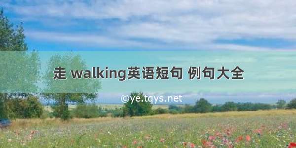 走 walking英语短句 例句大全