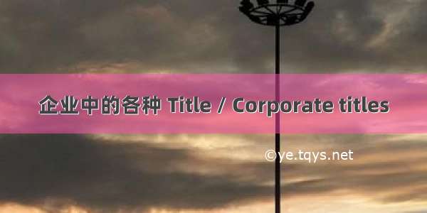 企业中的各种 Title / Corporate titles