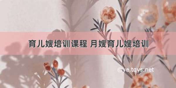 育儿嫂培训课程 月嫂育儿嫂培训