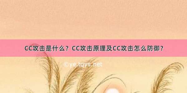 CC攻击是什么？CC攻击原理及CC攻击怎么防御？