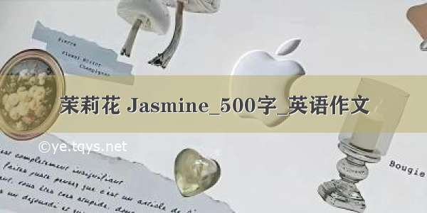 茉莉花 Jasmine_500字_英语作文