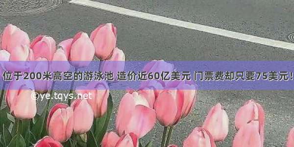 位于200米高空的游泳池 造价近60亿美元 门票费却只要75美元！