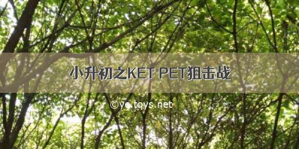 小升初之KET PET狙击战