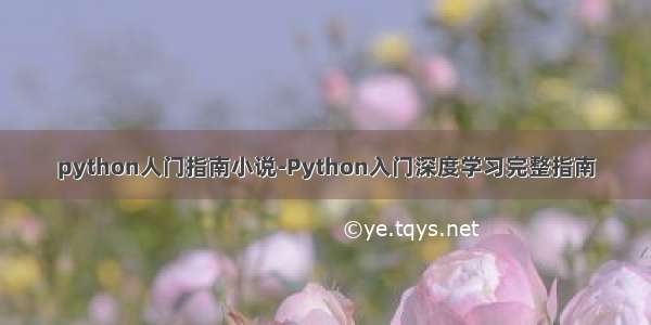 python人门指南小说-Python入门深度学习完整指南