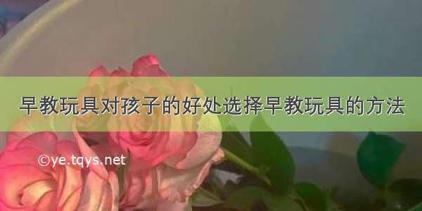 早教玩具对孩子的好处选择早教玩具的方法