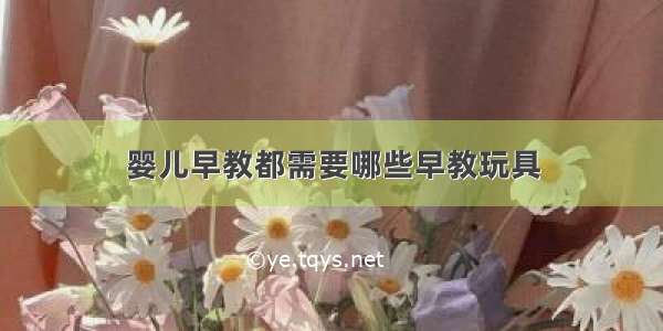 婴儿早教都需要哪些早教玩具