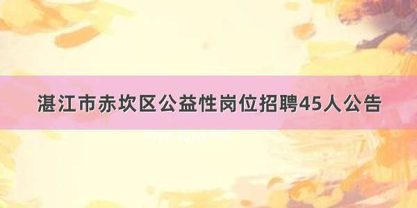 湛江市赤坎区公益性岗位招聘45人公告