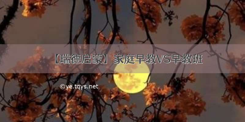 【瑞德启蒙】家庭早教VS早教班