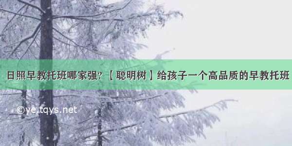 日照早教托班哪家强? 【聪明树】给孩子一个高品质的早教托班