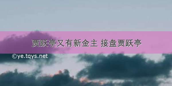 贾跃亭又有新金主 接盘贾跃亭