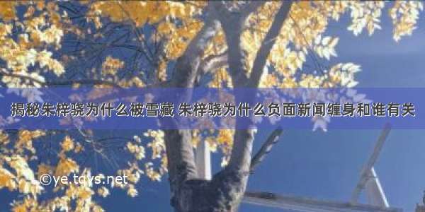 揭秘朱梓骁为什么被雪藏 朱梓骁为什么负面新闻缠身和谁有关