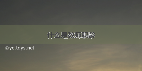 什么是教师职龄