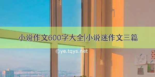 小说作文600字大全|小说迷作文三篇