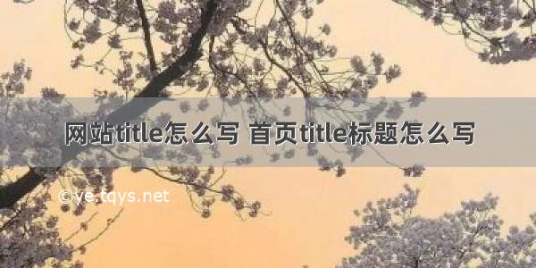 网站title怎么写 首页title标题怎么写