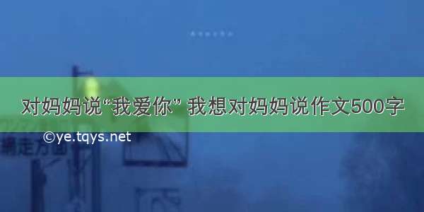 对妈妈说“我爱你” 我想对妈妈说作文500字