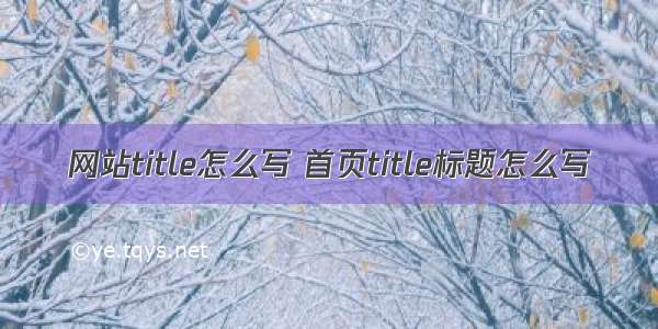 网站title怎么写 首页title标题怎么写