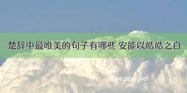 楚辞中最唯美的句子有哪些 安能以皓皓之白