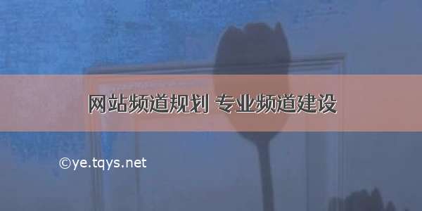 网站频道规划 专业频道建设