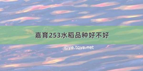 嘉育253水稻品种好不好